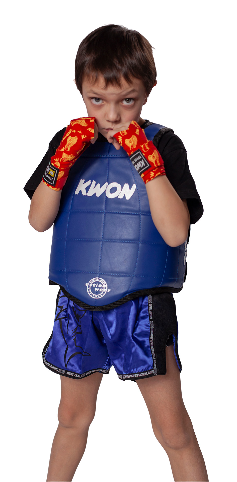 Corpetto Thai Boxing Amateur Sanda Cinese reversibile