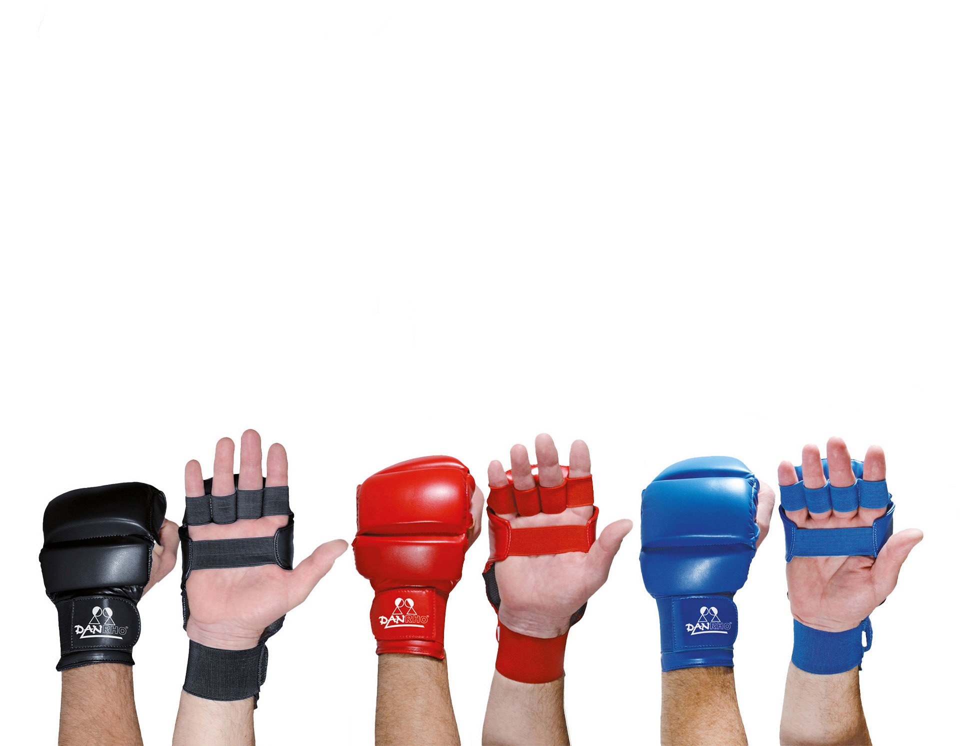 DANRHO guantini Ju Jutsu