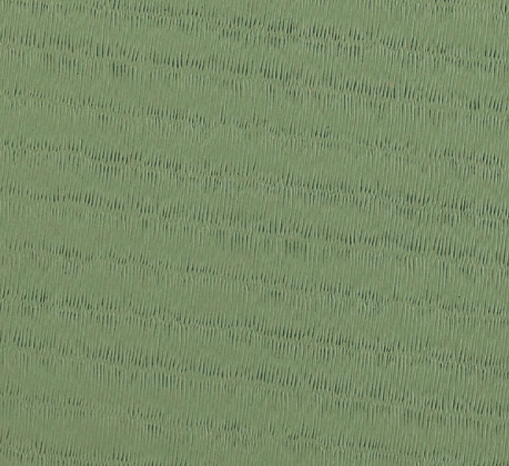 RHODE TATAMI Judo Tatatmi Kasei RG 200